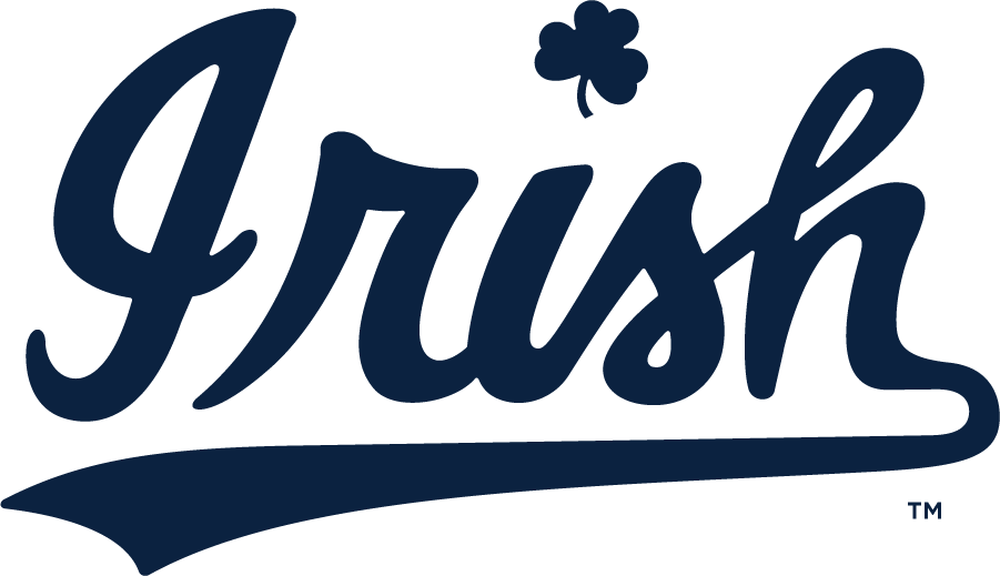 Notre Dame Fighting Irish 2015-Pres Wordmark Logo v2 diy iron on heat transfer...